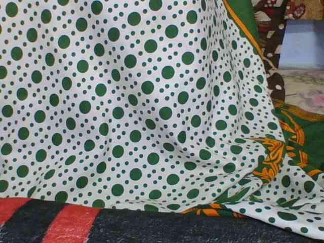 rosah1a webcam