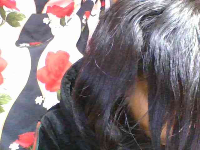 rosah1a webcam