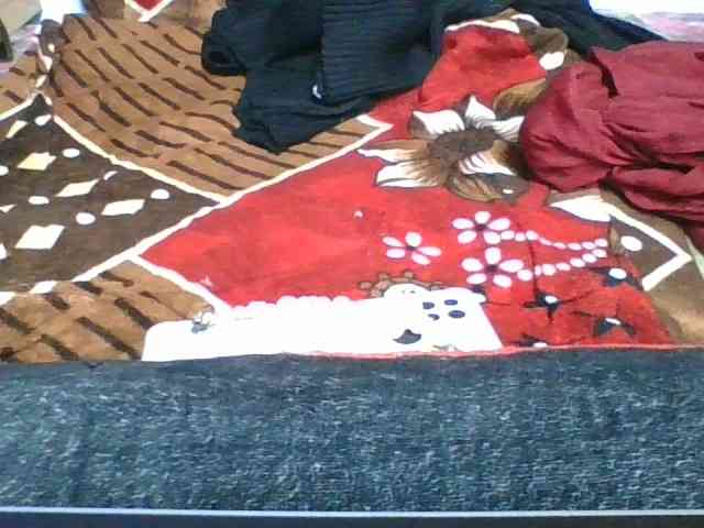 rosah1a webcam
