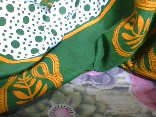 rosah1a webcam