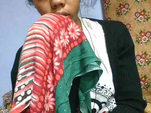 rosah1a webcam