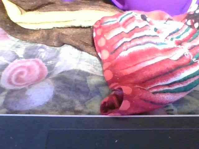 rosah1a webcam