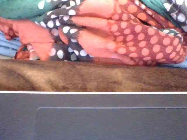 rosah1a webcam