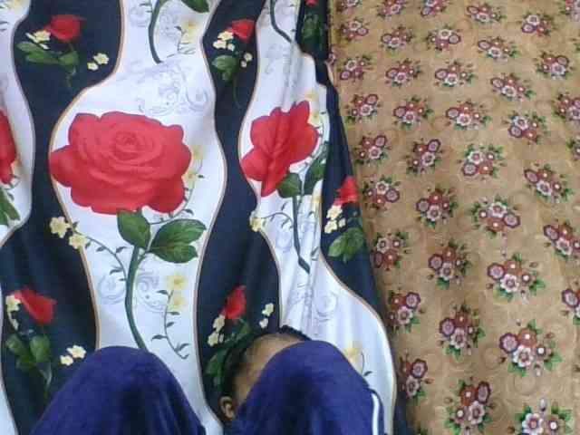 rosah1a webcam