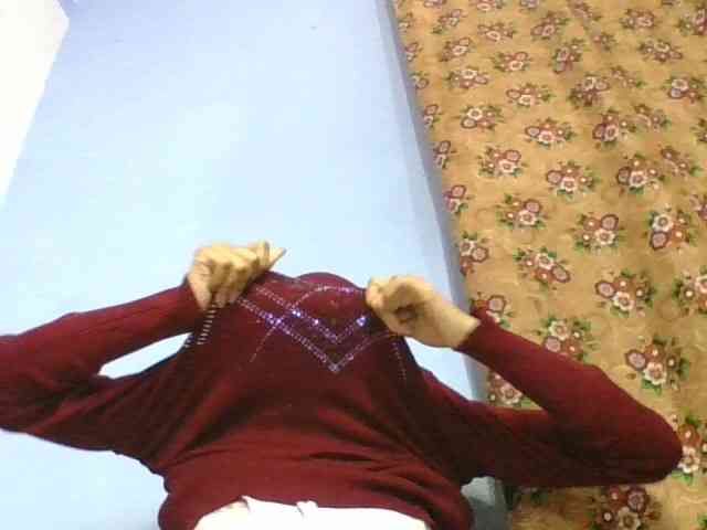 rosah1a webcam