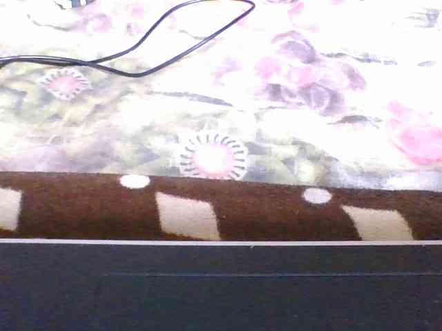 rosah1a webcam