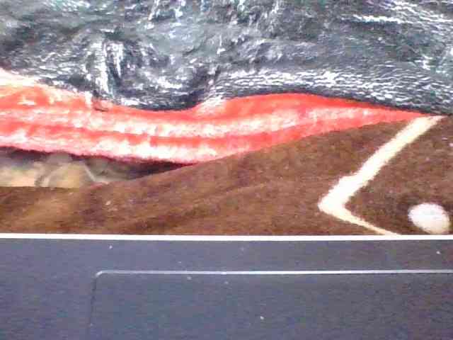rosah1a webcam