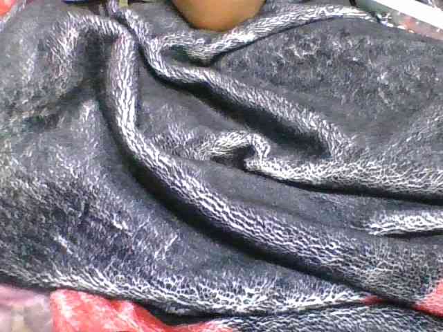 rosah1a webcam