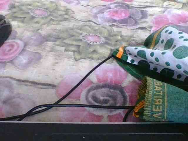 rosah1a webcam