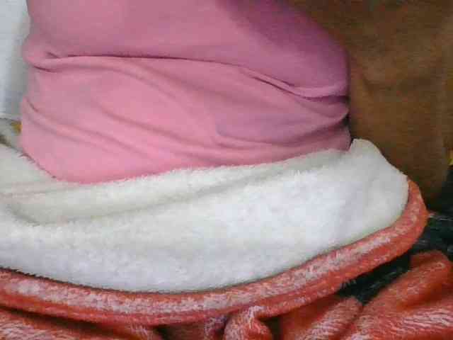 rosah1a webcam