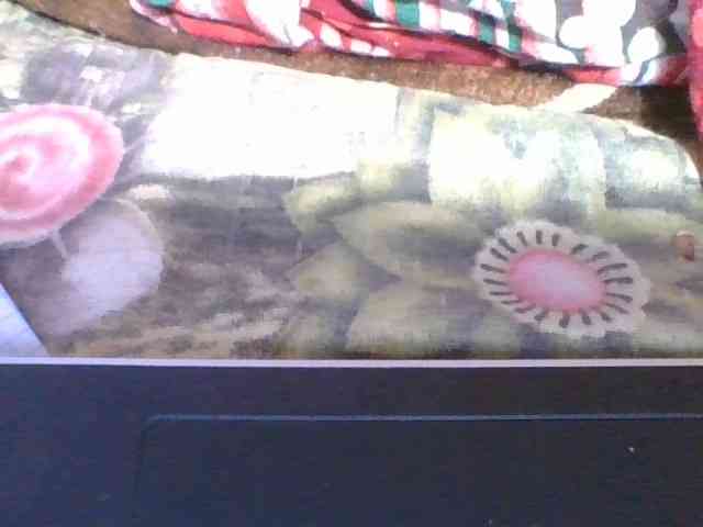 rosah1a webcam