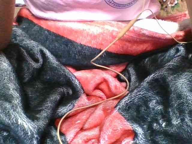 rosah1a webcam