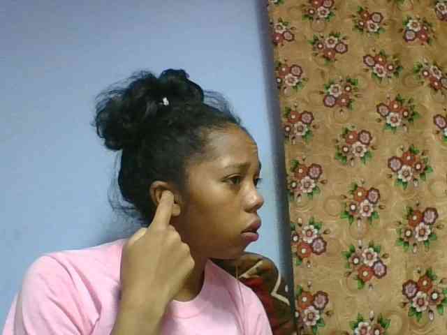 rosah1a webcam