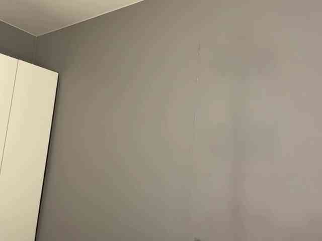 DemetraAsma webcam