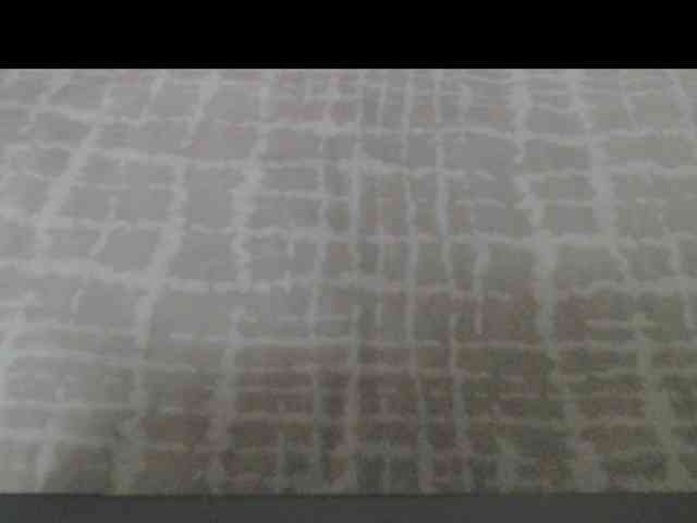 Chase-Adelin webcam
