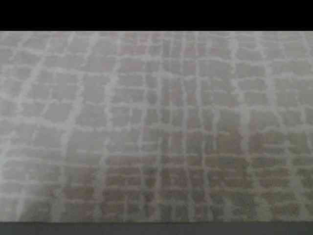 Chase-Adelin webcam