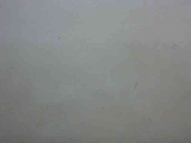 Drippingqueen23 webcam