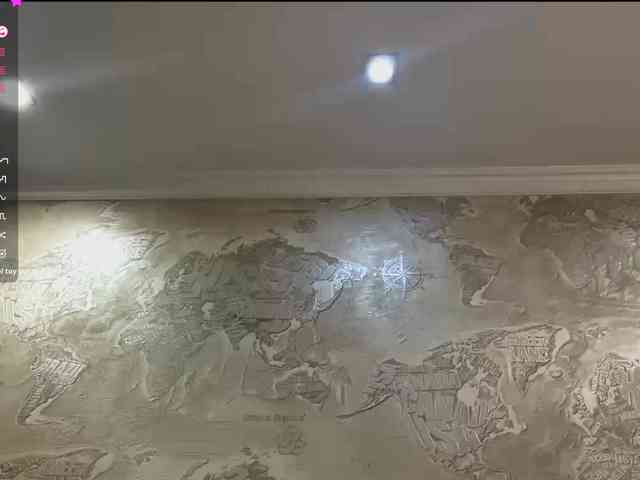 TonetteSollis webcam