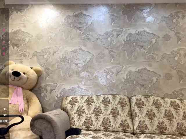 TonetteSollis webcam