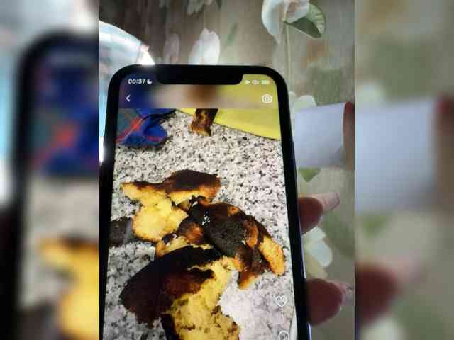 VXETU webcam