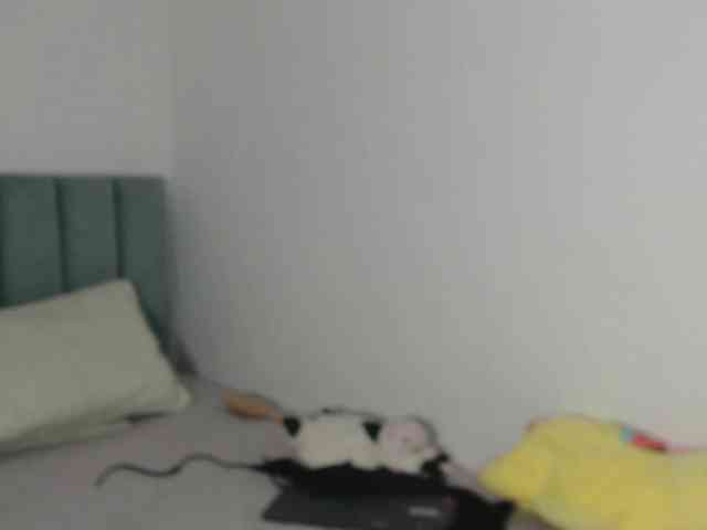beauty-passion webcam