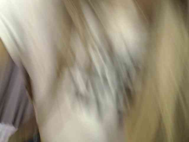 lilypeachxx webcam