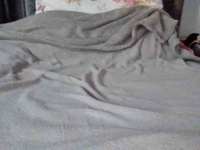 lunasoftangel9 webcam