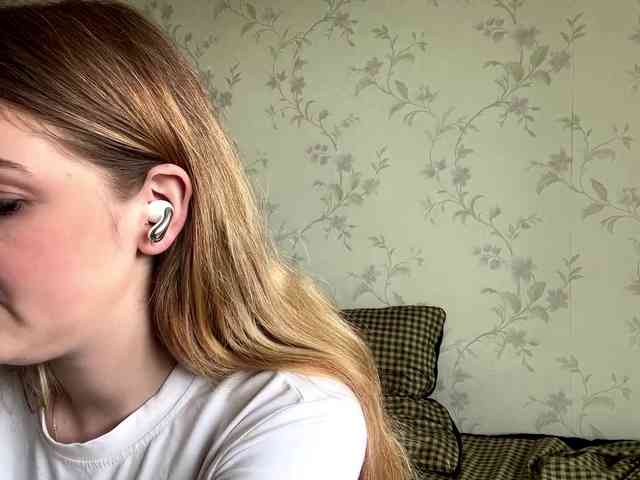 LapfulFluffX webcam