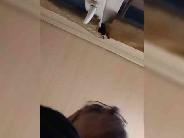 Andrei4003081 Andrei4003081