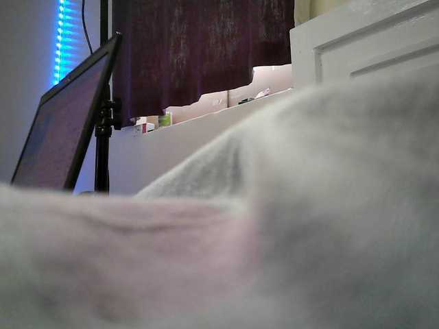 zipporah Live Cam and Statistics on UnifiedCams