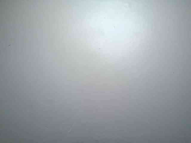 zipporah webcam