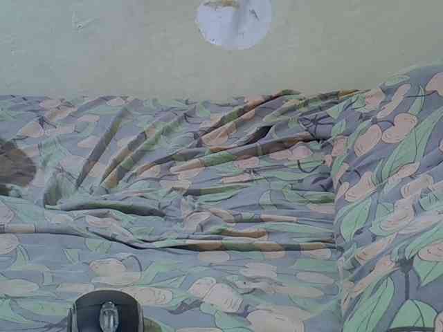 Shanice011 webcam