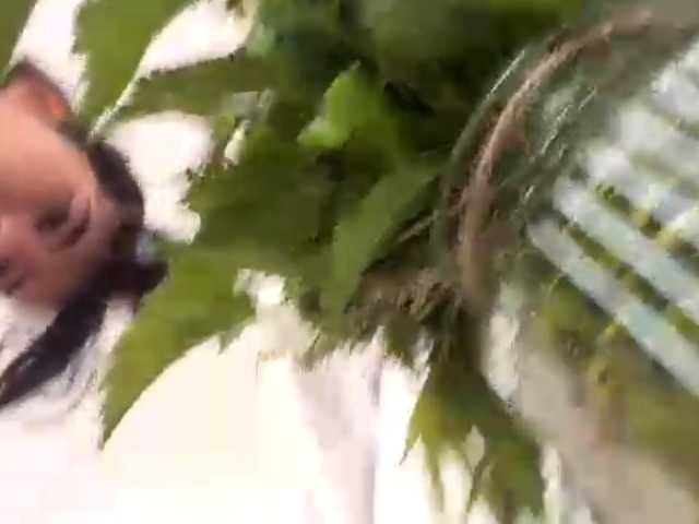 GriselRobenson live cam on BongaCams