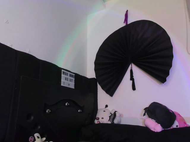 Little-Yorr live cam on BongaCams