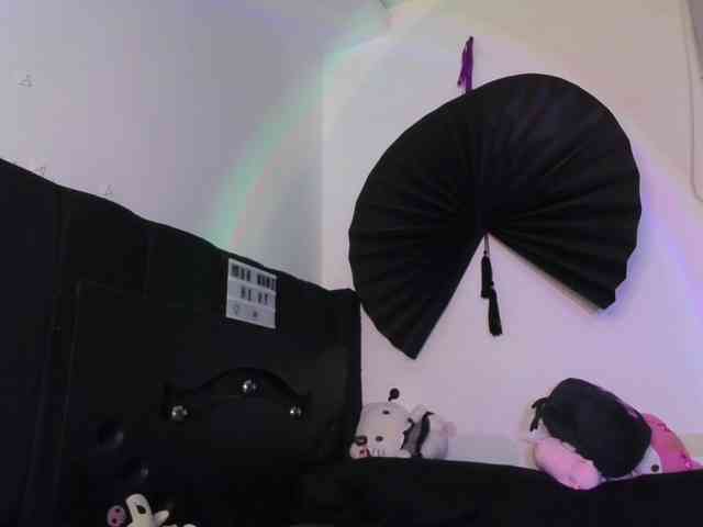 Little-Yorr webcam