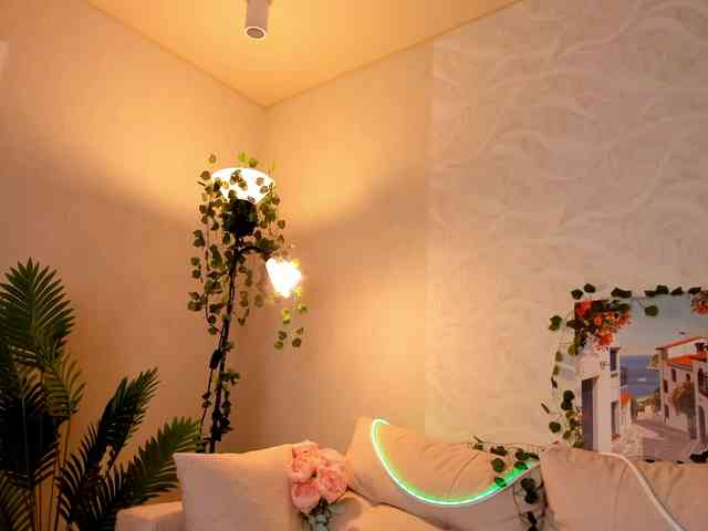 BellaBrow webcam