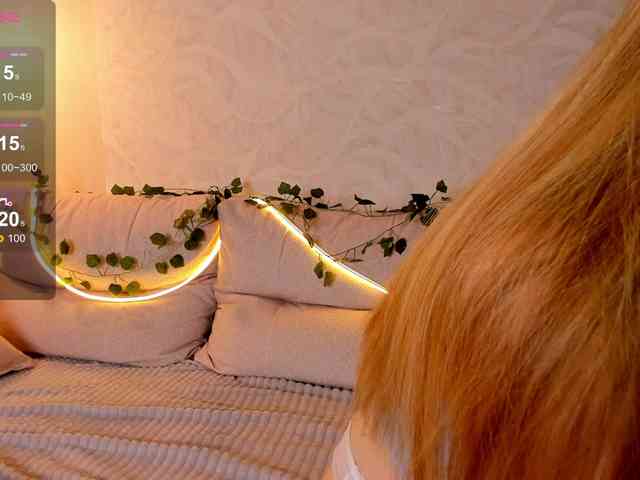 BellaBrow webcam