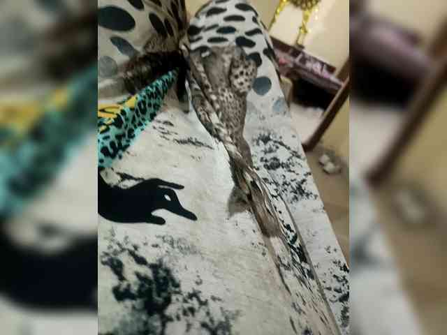 quinnn30