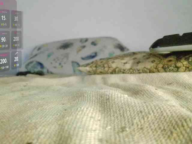 canatito Live Webcam on BongaCams