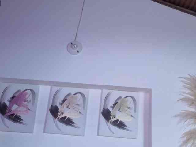Isabellalita webcam
