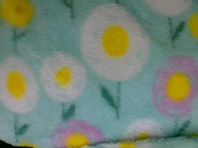 Juliah1a live cam on BongaCams