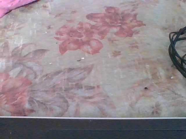 Juliah1a