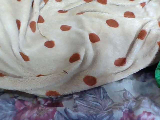 Juliah1a webcam
