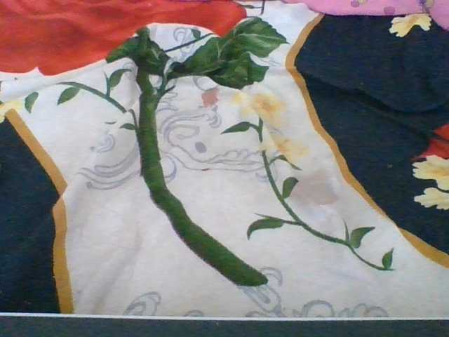 Juliah1a