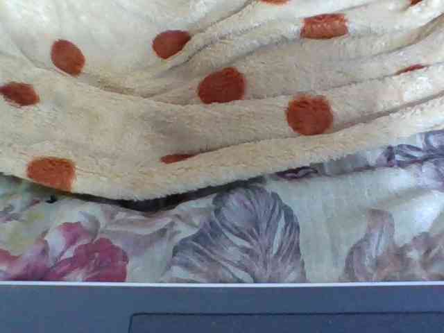 Juliah1a webcam