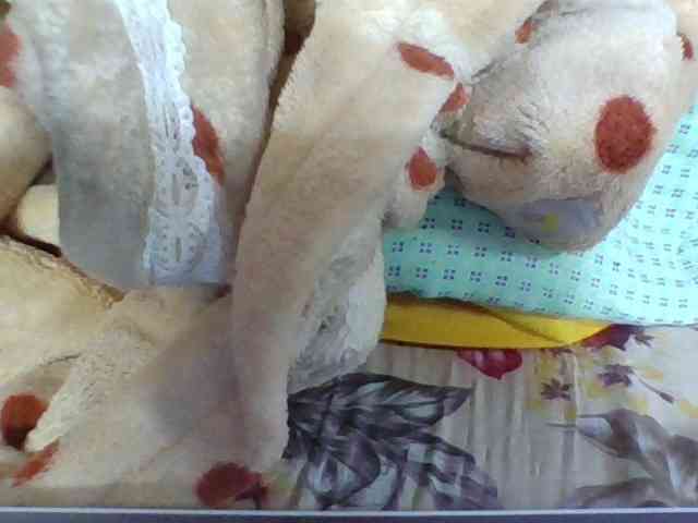 Juliah1a webcam