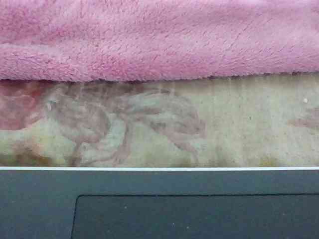 Juliah1a webcam