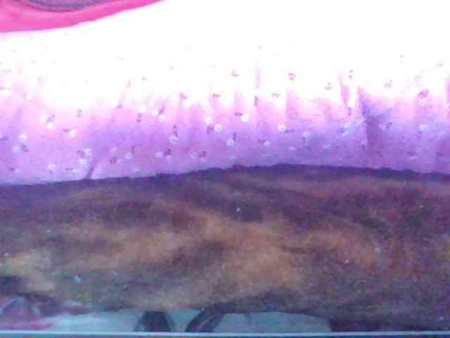 Juliah1a webcam