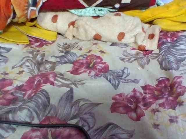 Juliah1a webcam