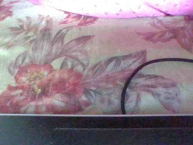 Juliah1a webcam